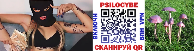 hydra сайт  Чапаевск  Псилоцибиновые грибы Cubensis 